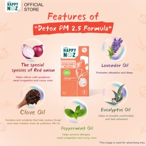 Promotion Big Special Detox PM2.5 Formula Adult 20 Boxes - Image 3