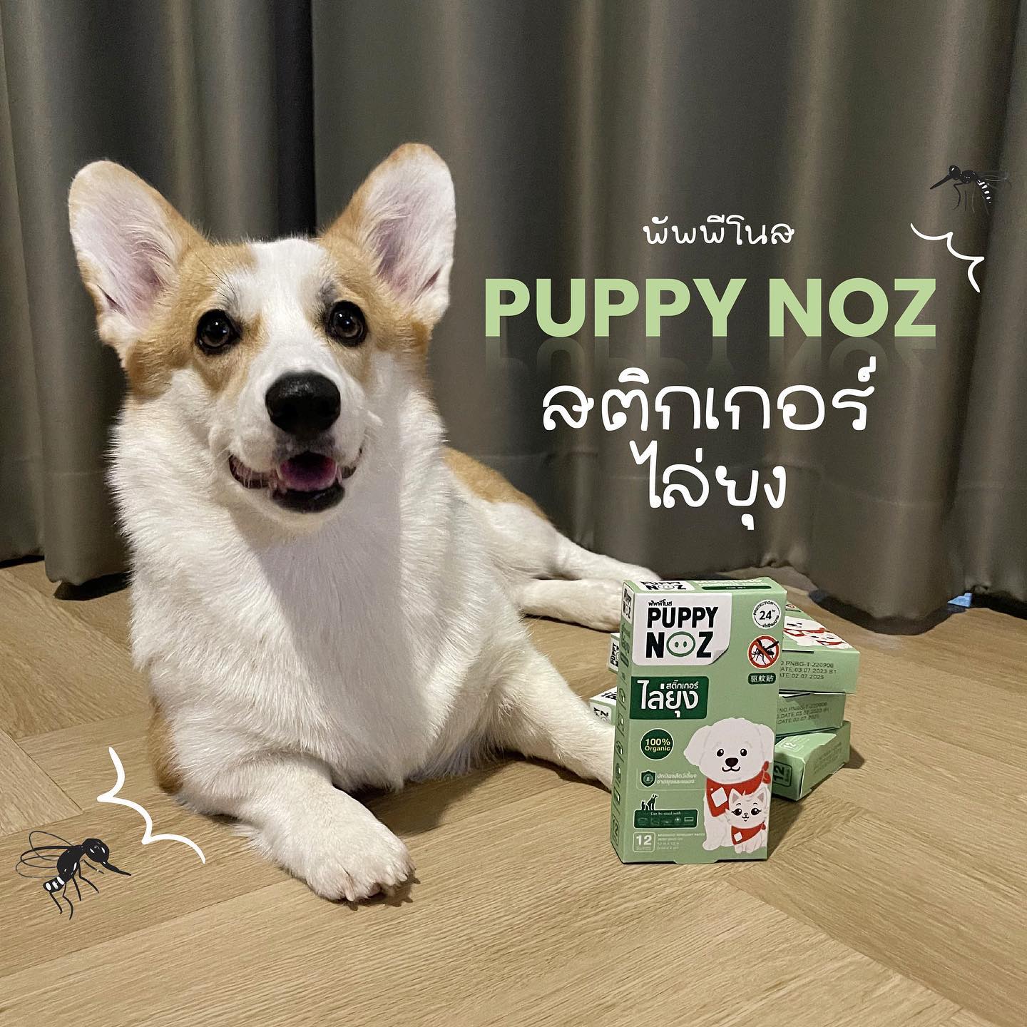 รีวิวจาก lamer.thecorgi