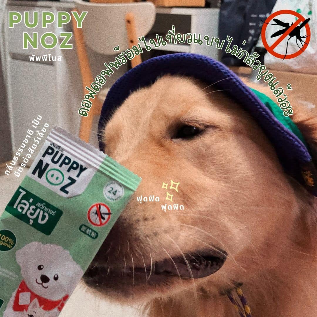 รีวิว Puppy Noz