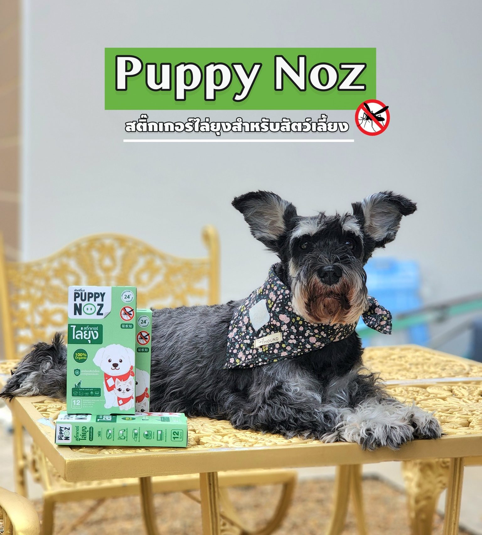 รีวิว Puppy Noz