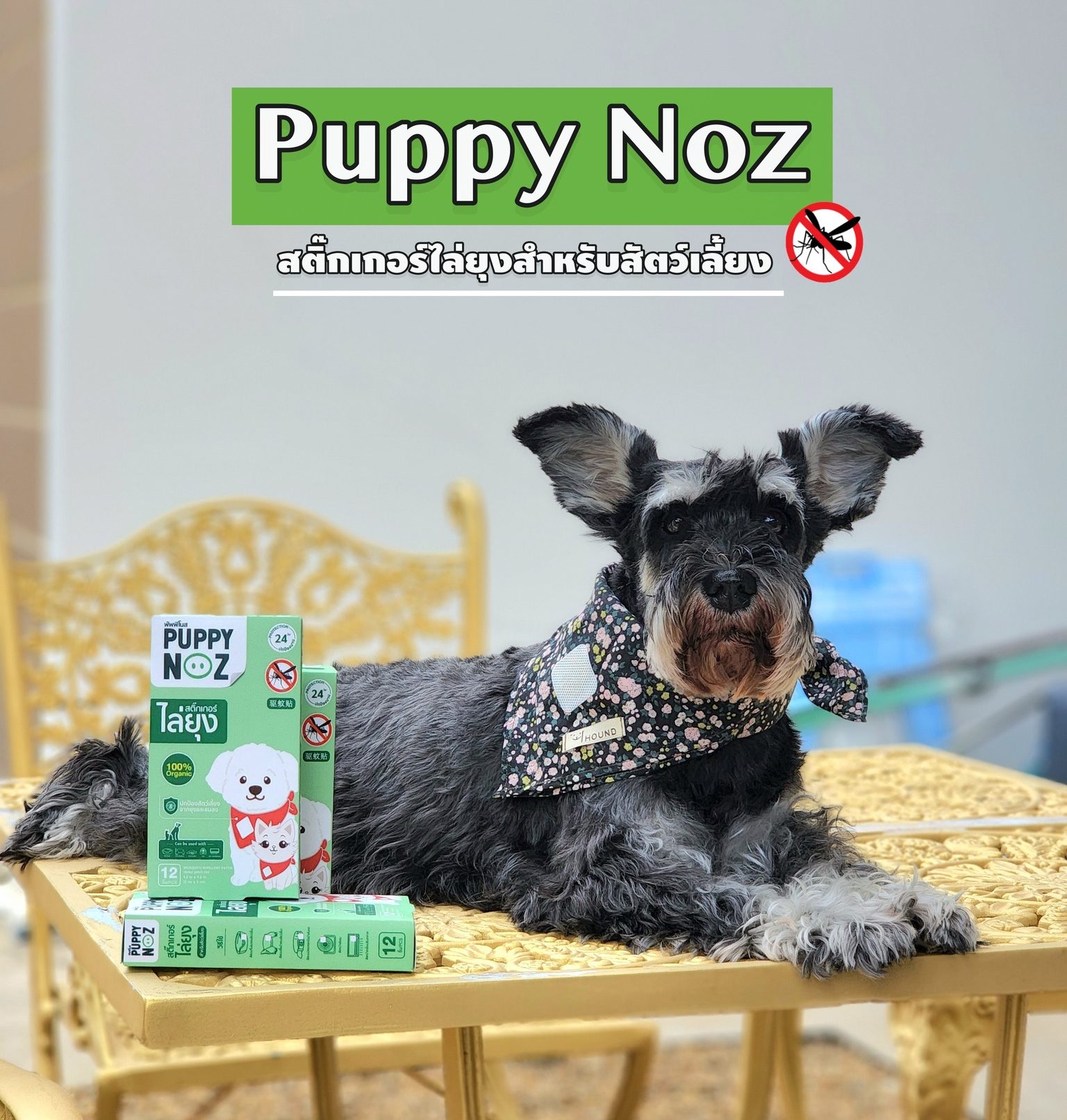 รีวิว Puppy Noz