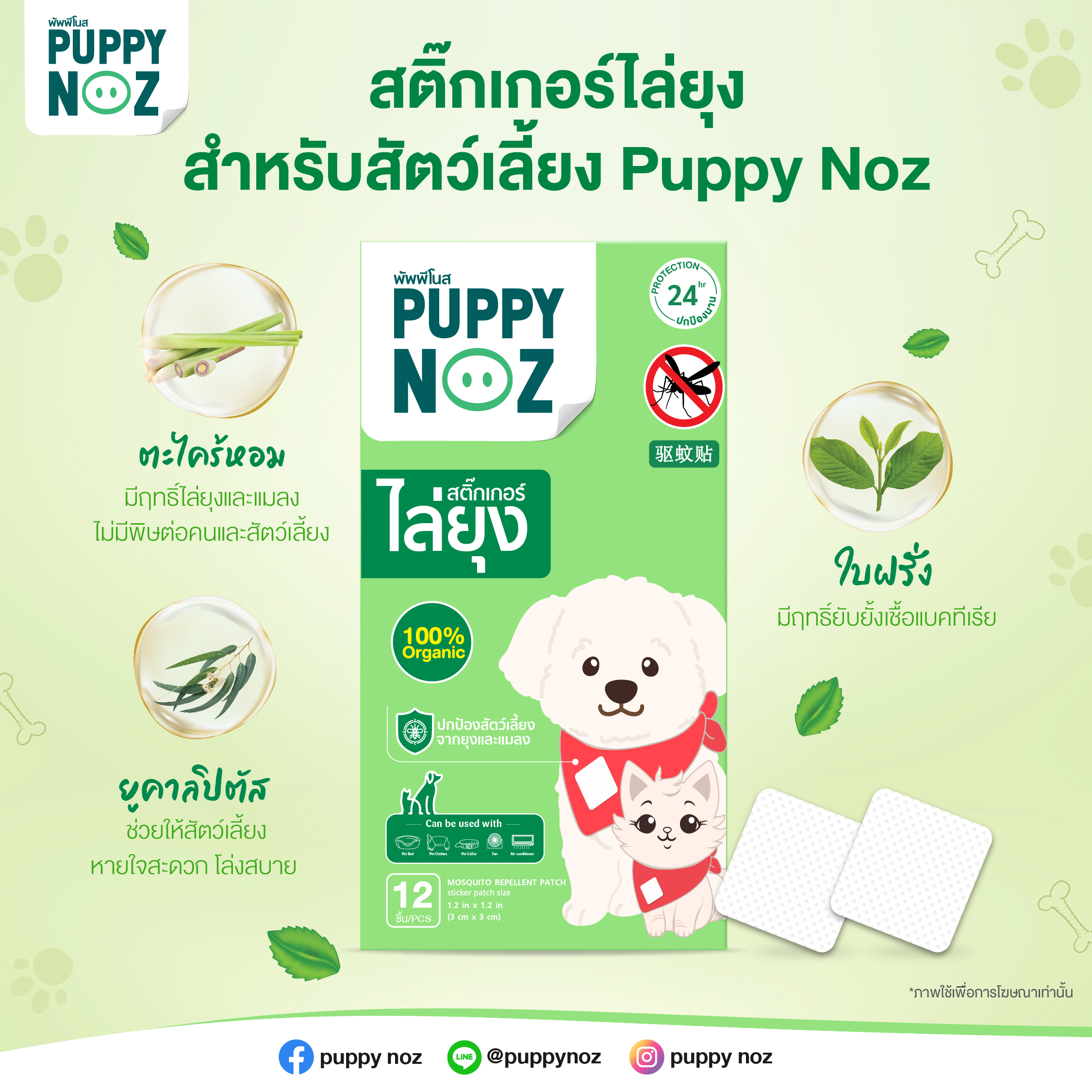 Puppy noz