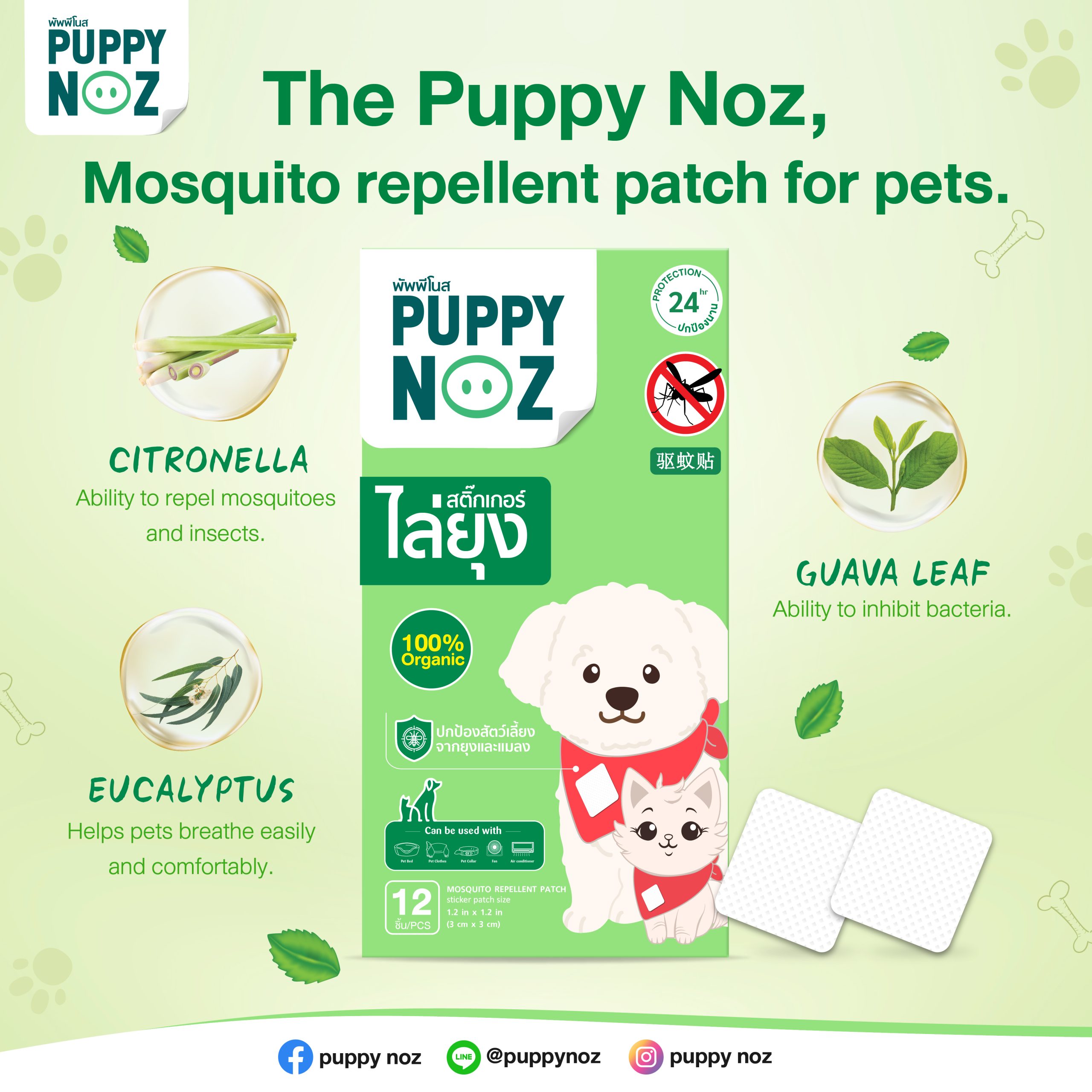 Puppy Noz