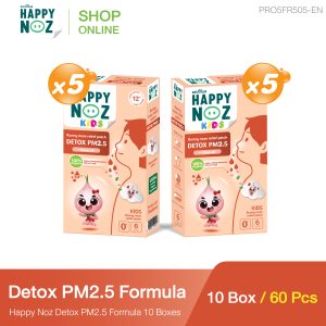 Promotion Detox PM2.5 Formula 10 Boxes - Image 1